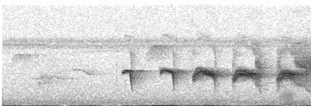Мурав’янка-прудкокрил перуанська - ML614792052