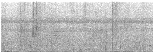 Синешапочный трогон - ML614792165