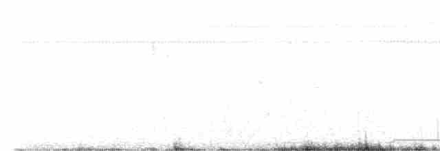 Синеголовый земляной голубь - ML614793412