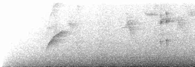 Зернолуск чорнокрилий - ML614795212