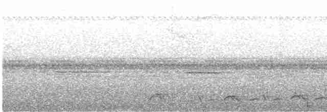 Lyre-tailed Nightjar - ML614799728