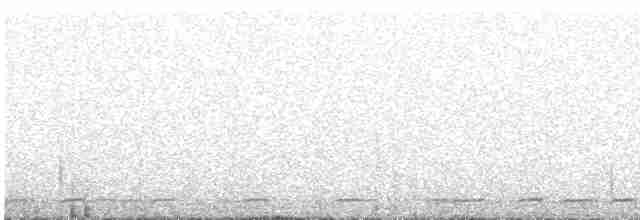 Серогрудый зобатый бегунок - ML614799907