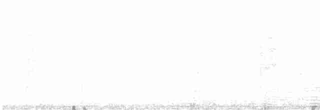White-lined Honeyeater - ML614802067