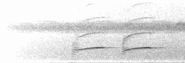Белоухий крапивник - ML614802744