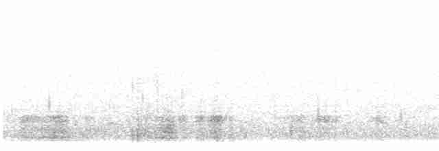 Пірникоза срібляста (підвид juninensis) - ML614809181