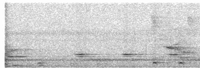 Malabar Gray Hornbill - ML614811493
