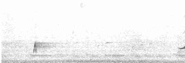 Ak Bıyıklı Balkuşu - ML614812023