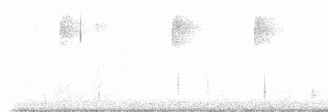 Chouette rayée - ML614812281