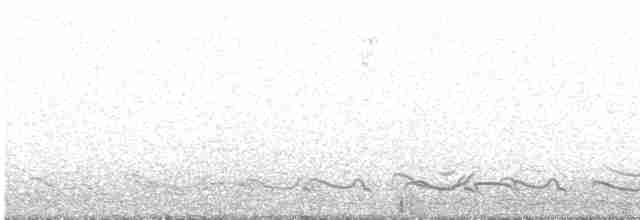 Puna Tinamou - ML614812459