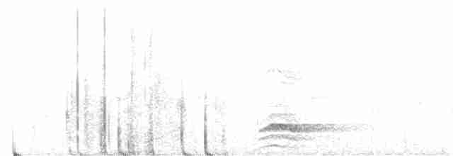 Капюшоновый трёхпалый тинаму - ML614813422