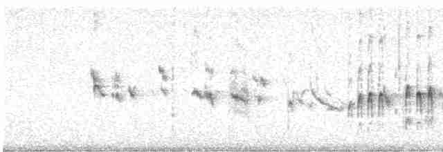 Plectrophane des neiges - ML614813432