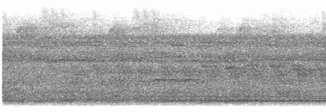 Дереволаз-довгохвіст великий - ML614813530