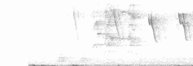 Chalk-browed Mockingbird - ML614813786