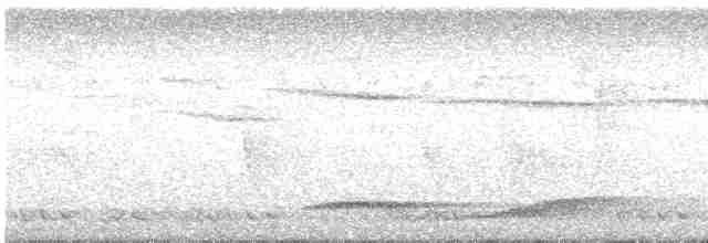 Віялохвіст сірий - ML614813818