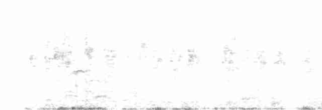 Gözlüklü Serçe Papağanı - ML614815534