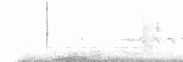 Grauschwanz-Dickichtschlüpfer - ML614815714