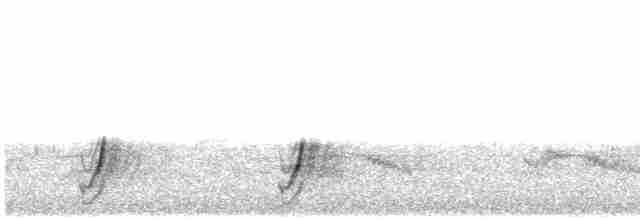 斑胸秧雞 - ML614816632