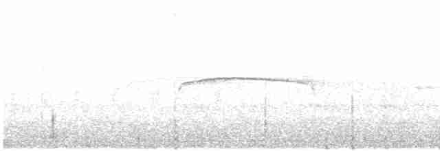 Патагонский мухолов - ML614823902