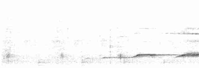 Haubenschlangenadler [cheela-Gruppe] - ML614825822