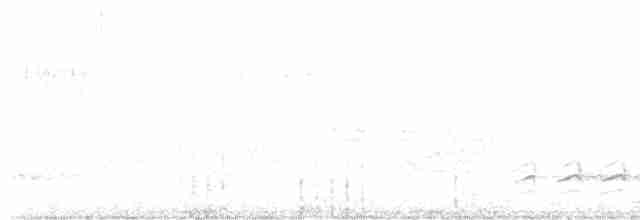 Weißbrustkleiber (carolinensis) - ML614831157
