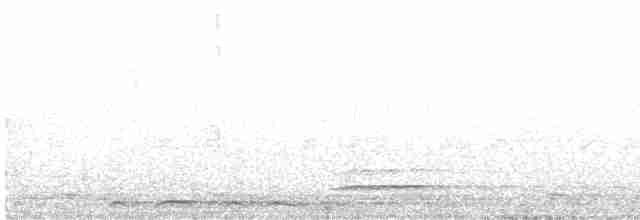 Géopélie à nuque rousse - ML614831364