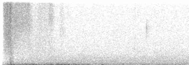 Дятел-смоктун білочеревий x червоноголовий - ML614833176