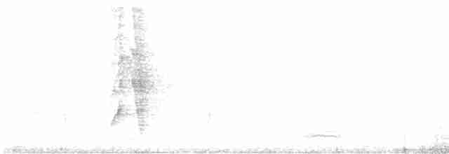 Weißbauch-Raupenfänger - ML614836978