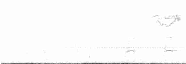káně rudochvostá (ssp. socorroensis) - ML614840314