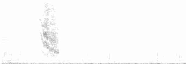 Socorrospottdrossel - ML614840410