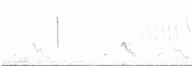 Parula Pitiayumí (graysoni) - ML614841065
