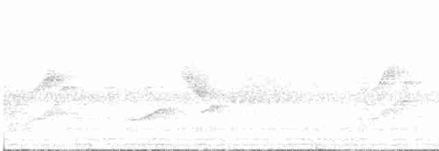 Spotted Towhee (Socorro) - ML614841213