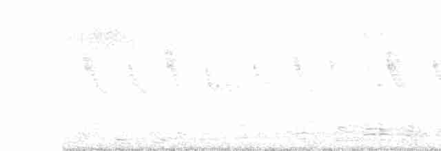 Swinhoe's White-eye - ML614841332