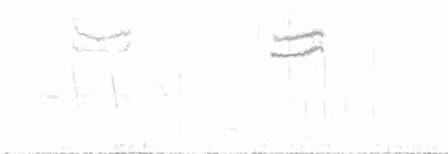 Тауї плямистий (підвид socorroensis) - ML614841658