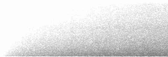 Avustralya Kara Poyrazkuşu - ML614841827