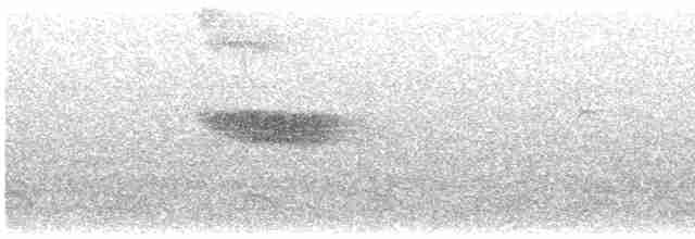 Arrenga siffleur (groupe flavirostris) - ML614841921