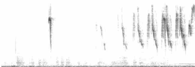 Parula Pitiayumí (graysoni) - ML614842392