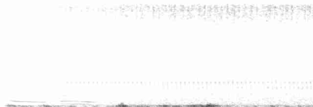 Eurasian Nightjar - ML614845312