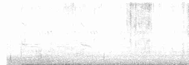 Cratérope gris - ML614847435