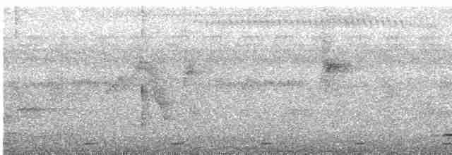 Атласная нектарница - ML614848397