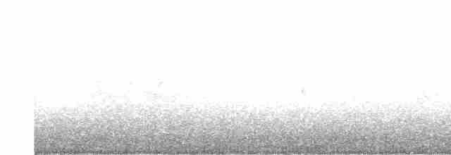 Ширококлювый колибри - ML614851215