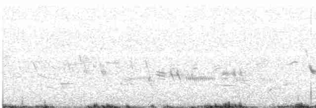 Ґоріон невадійський - ML614851701