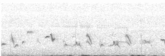 Cuitlacoche de las Artemisas - ML614851831