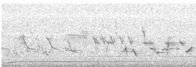 Cuitlacoche de las Artemisas - ML614851834