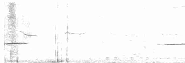 クロハラウミツバメ - ML614852182