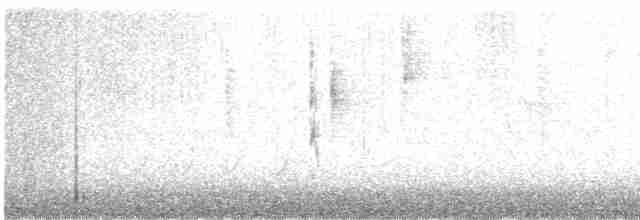 Troglodyte des forêts - ML614853651