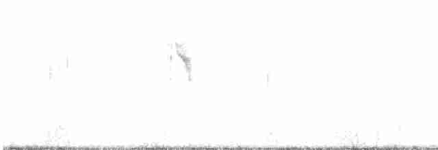 Eastern Yellow Wagtail - ML614854784
