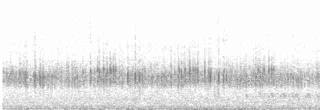 White-eared Honeyeater - ML614855149