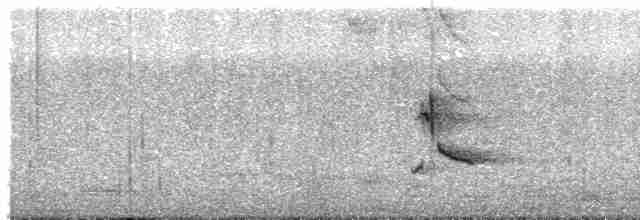 Пересмішник жовтодзьобий - ML614856614