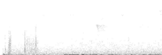 Алленов колибри - ML614857990