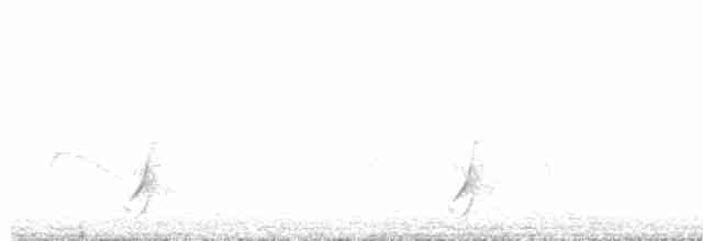 斑胸秧雞 - ML614860019